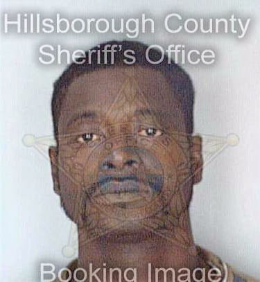 Richardson James - Hillsborough County, FL 