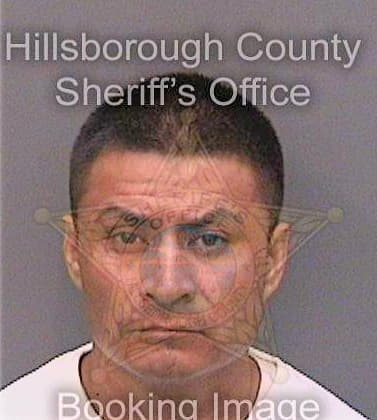 Lopez Luis - Hillsborough County, FL 