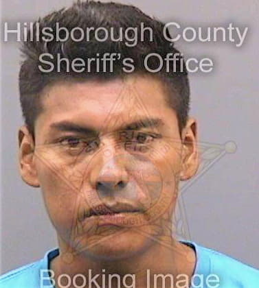 Reyes Jose - Hillsborough County, FL 