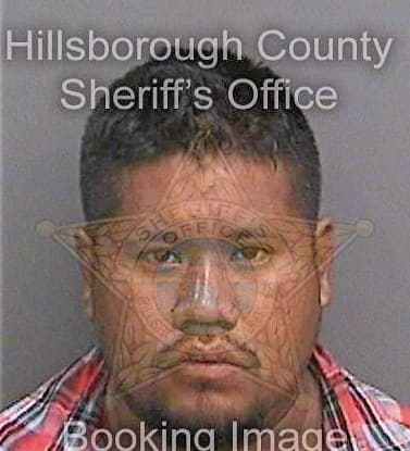 Gonzalezchilel Carlos - Hillsborough County, FL 