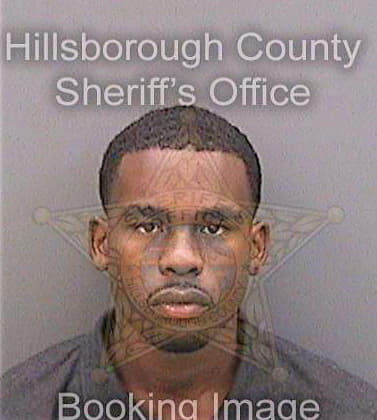 Brown Joseph - Hillsborough County, FL 