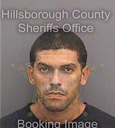 Vega Juan - Hillsborough County, FL 