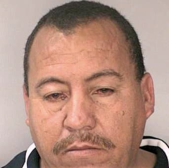 Borrasrodriguez Oscar - Hillsborough County, FL 