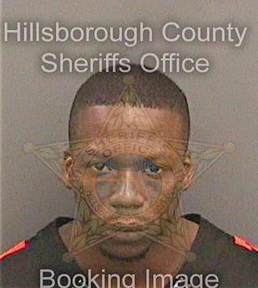 Billington Raheem - Hillsborough County, FL 