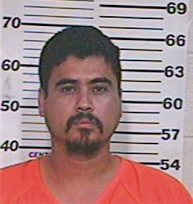 Hernandez Rogelio - Hidalgo County, TX 