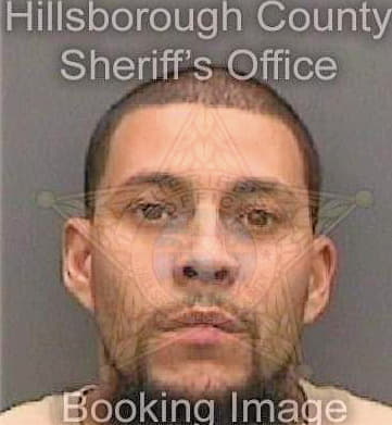 Mercadomelendez Heriberto - Hillsborough County, FL 