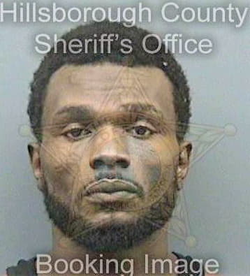 Lewis Travis - Hillsborough County, FL 