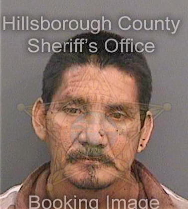 Dejesusmorales Manuel - Hillsborough County, FL 