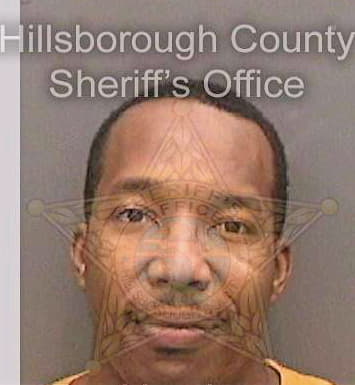 Mcintosh Paris - Hillsborough County, FL 