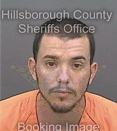 Huckle Anthony - Hillsborough County, FL 