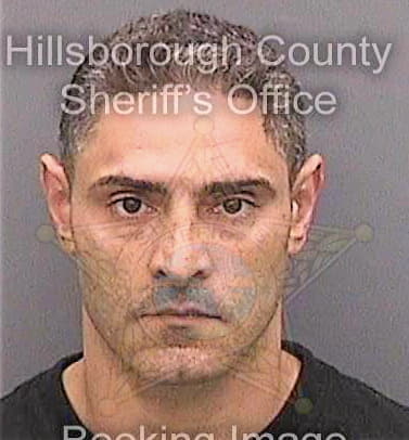 Negron Carlos - Hillsborough County, FL 