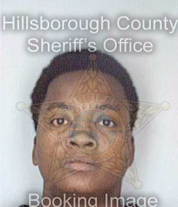 Sirmons Dora - Hillsborough County, FL 