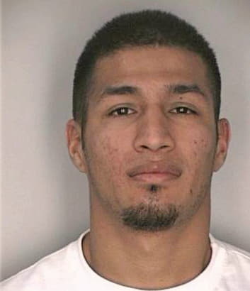 Silva Nicholas - Hillsborough County, FL 