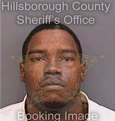 Richardson Lewis - Hillsborough County, FL 