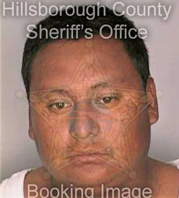 Ramirez Macario - Hillsborough County, FL 