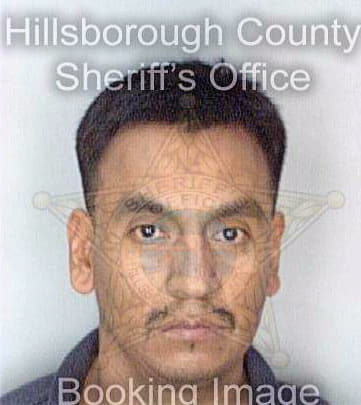 Ortiz Marcelino - Hillsborough County, FL 