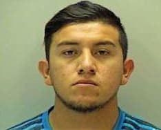 Hernandez Ramiro - Wilson County, TN 