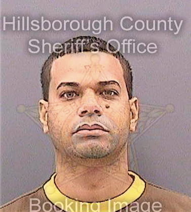 Gonzalez Victor - Hillsborough County, FL 