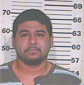 Garcia Daniel - Hidalgo County, TX 