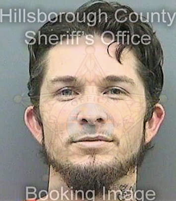 Demoranville James - Hillsborough County, FL 