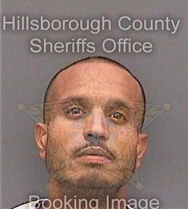 Diaz Gerardo - Hillsborough County, FL 