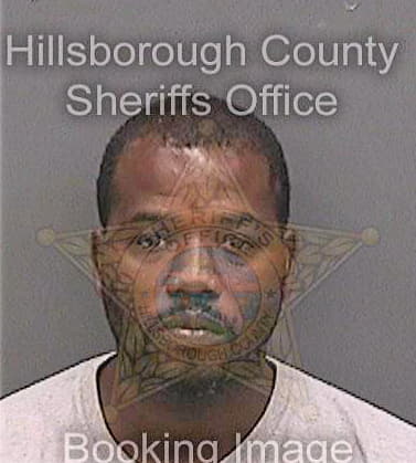 Davis Michael - Hillsborough County, FL 