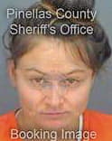 Nelson Sandra - Pinellas County, FL 