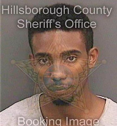 Davis Brian - Hillsborough County, FL 