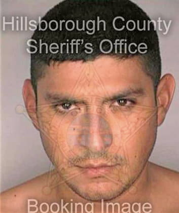 Vazquez Reynaldo - Hillsborough County, FL 