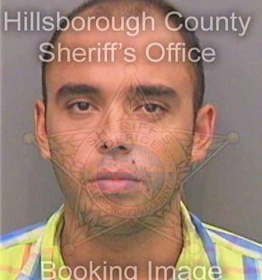 Gonzalez Rafael - Hillsborough County, FL 