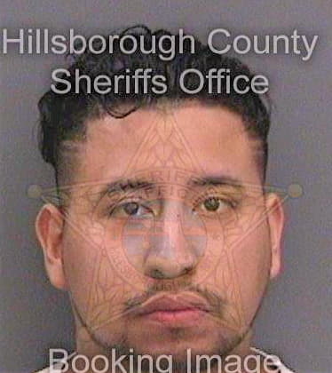 Juarezbeltran Luis - Hillsborough County, FL 