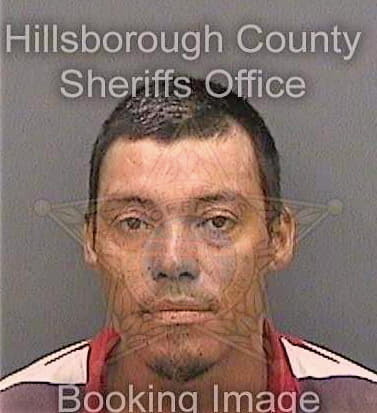 Mendoza Sergio - Hillsborough County, FL 
