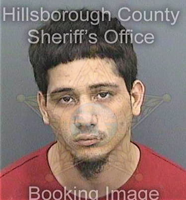 Colon Jose - Hillsborough County, FL 