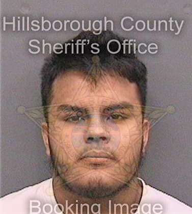 Varela Orlando - Hillsborough County, FL 