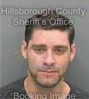 Diaz Carlos - Hillsborough County, FL 