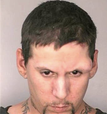 Blanco Bory - Hillsborough County, FL 