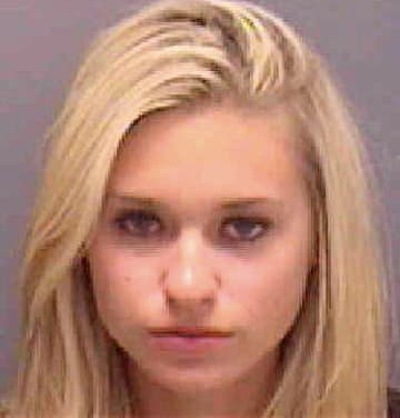 Snitzel Brittany - Lee County, FL 