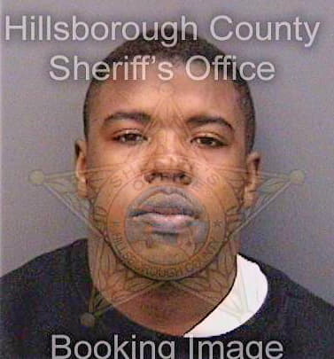 Johnson Reginald - Hillsborough County, FL 