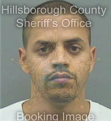 Vicente Victor - Hillsborough County, FL 