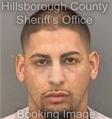 Hance Anthony - Hillsborough County, FL 