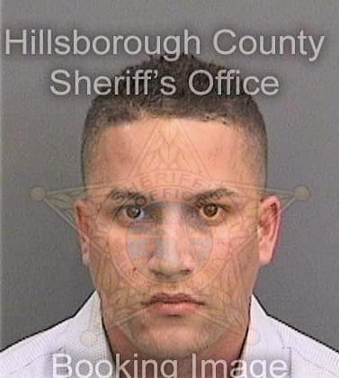 Lopez Haldo - Hillsborough County, FL 