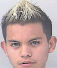 Vicente Johnathan - StLucie County, FL 