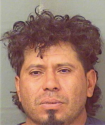 Medrano Rosendo - PalmBeach County, FL 