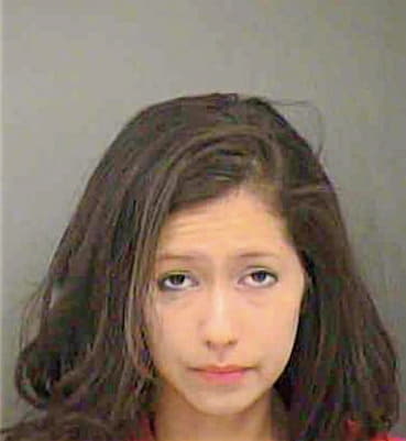 Melo Maria - Mecklenburg County, NC 