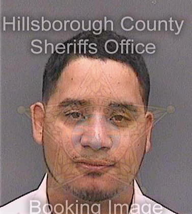 Serrato Adrian - Hillsborough County, FL 