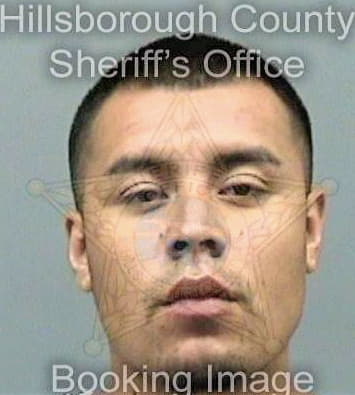 Becerra Andres - Hillsborough County, FL 