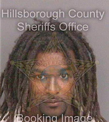 Simmons Denzel - Hillsborough County, FL 