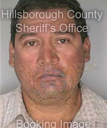 Hernandez Omar - Hillsborough County, FL 