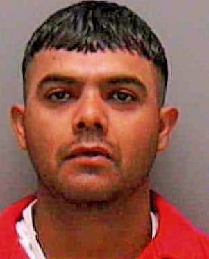 Rodriguez Roman - Lee County, FL 