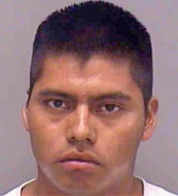 Gomez Mario - Lee County, FL 